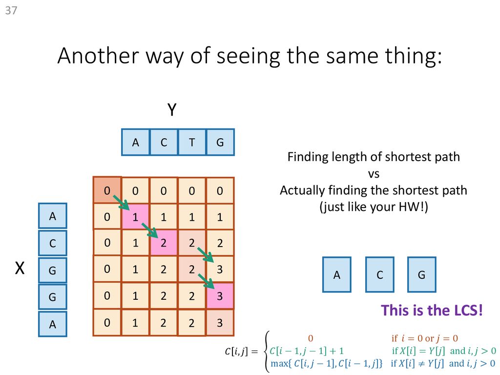 More Dynamic Programming Ppt Download