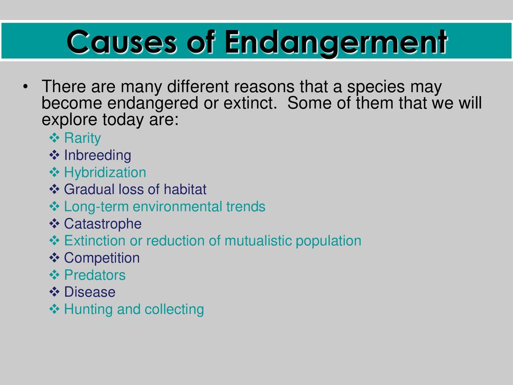 Endangered Species The rare scare…. - ppt download