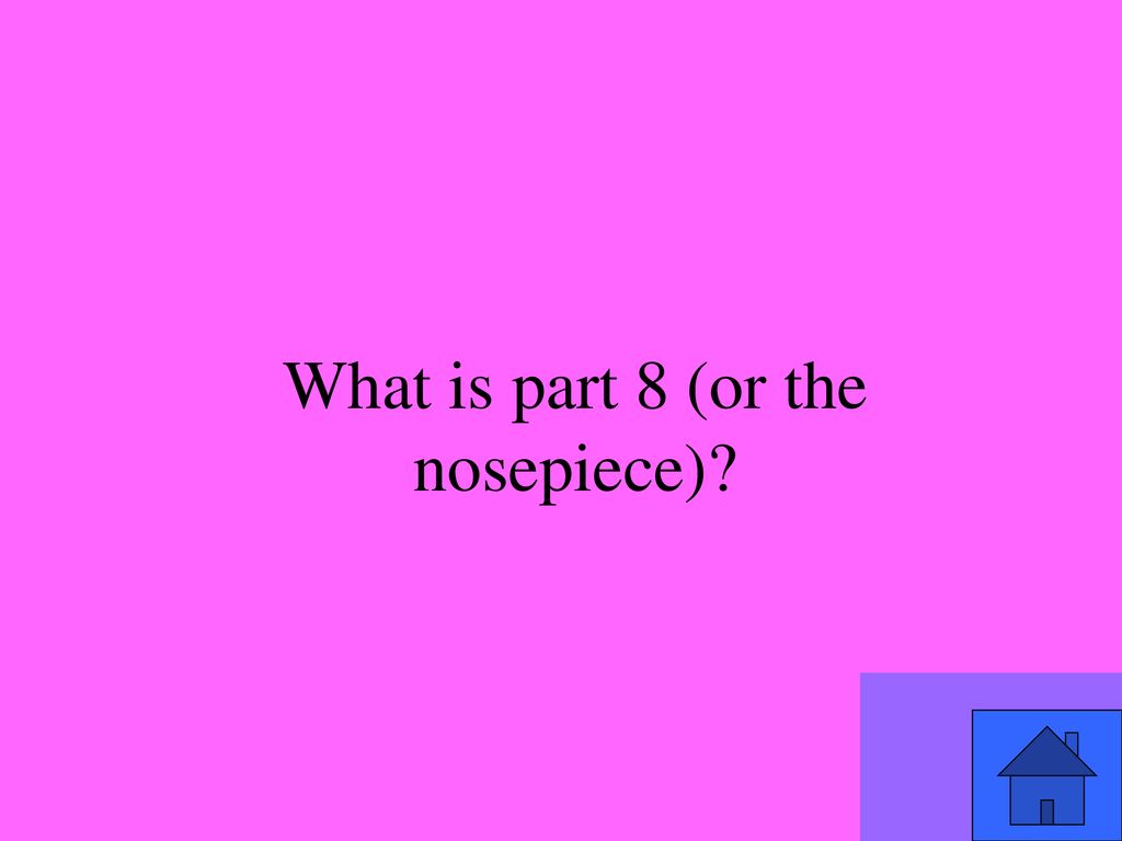scopes-and-stuff-ii-scopes-and-stuff-scopes-and-stuff-iii-5-pt-5-pt
