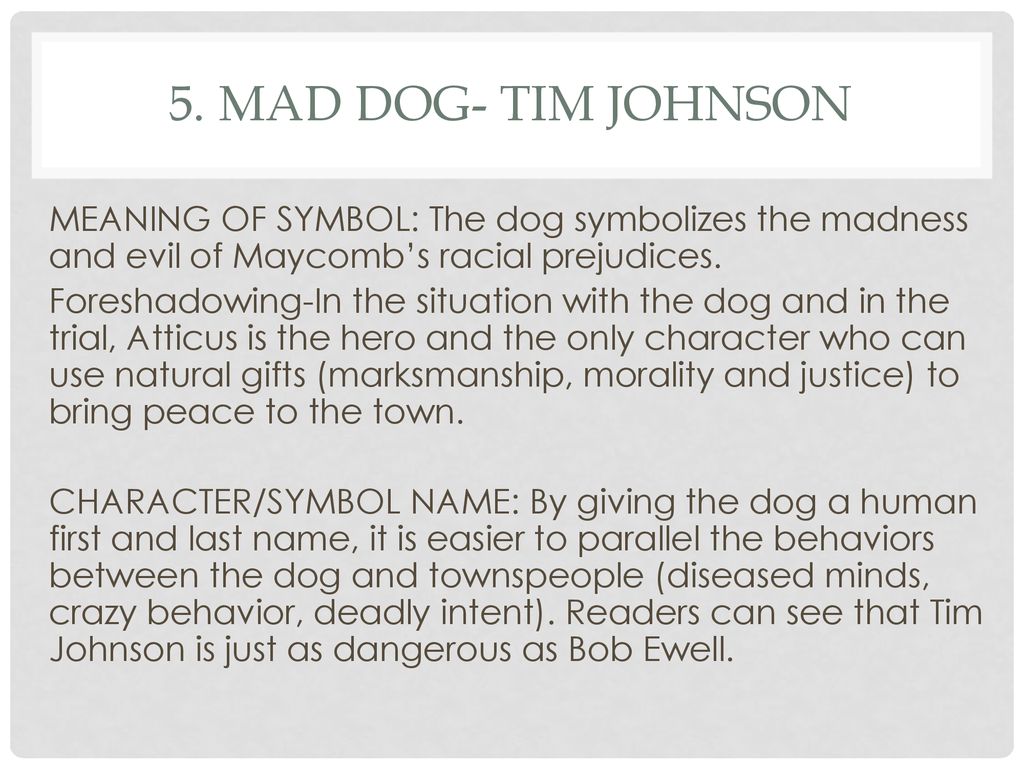 what does tim johnson the mad dog represent
