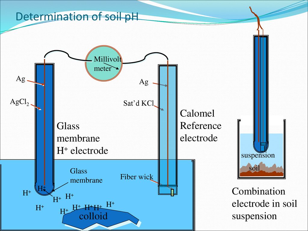 Determination of soil pH