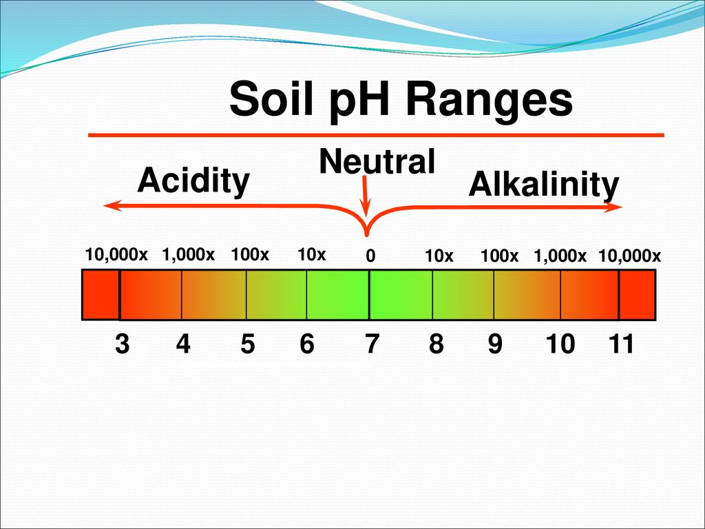 Soil pH Ranges Neutral Acidity Alkalinity x 100x
