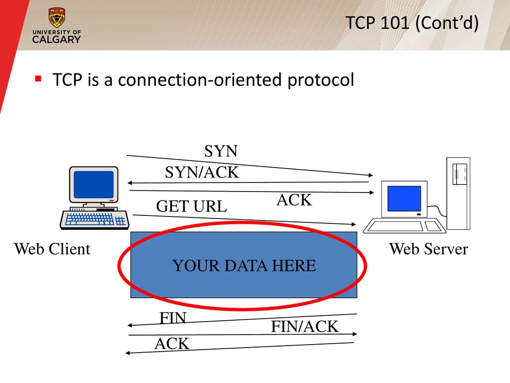 Tcp sequence number plots ppt download