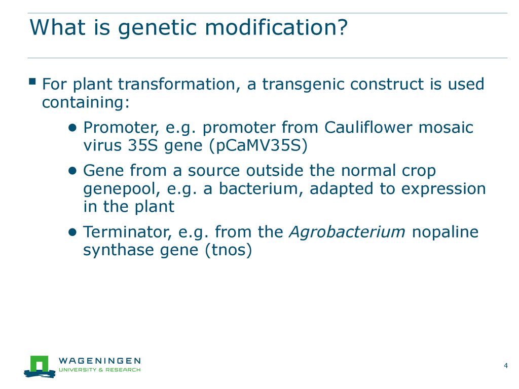 What is genetic modification