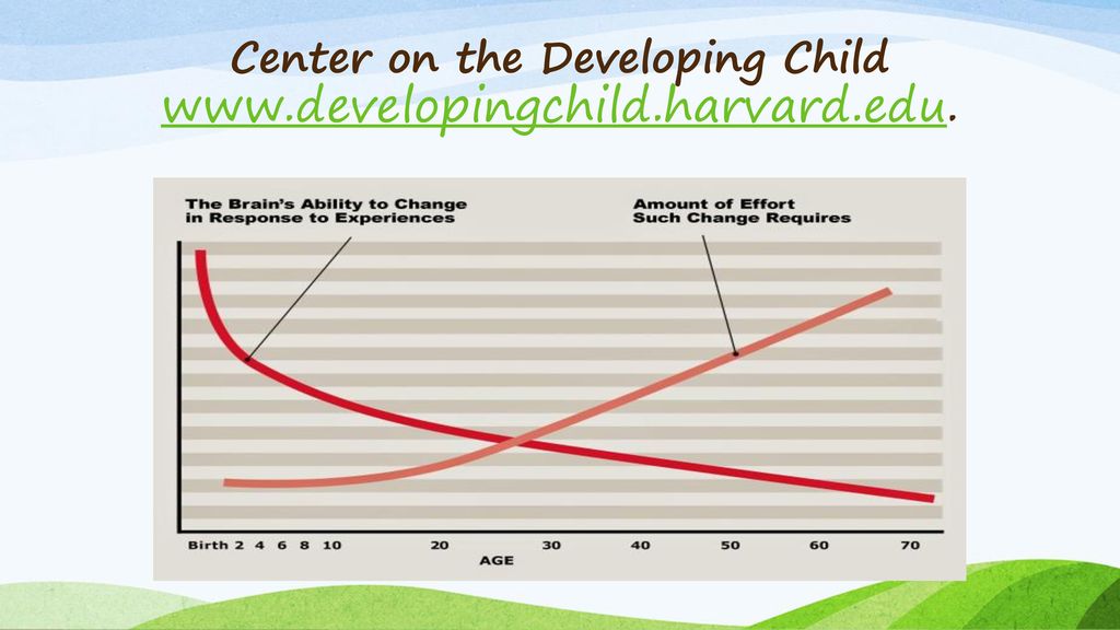 Center on the Developing Child