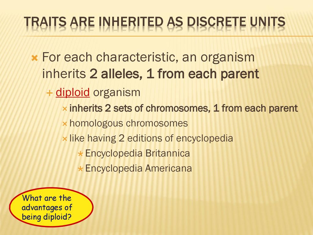 Introduction to genetics the work of gregor mendel ppt download