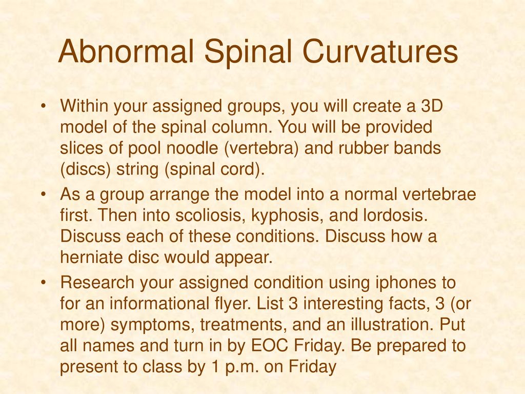Skeletal System Disorders - ppt download