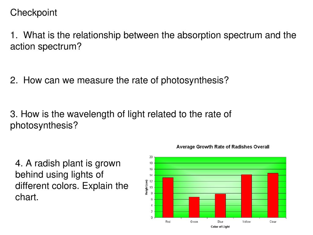 Photosynthesis Alphabet Chart