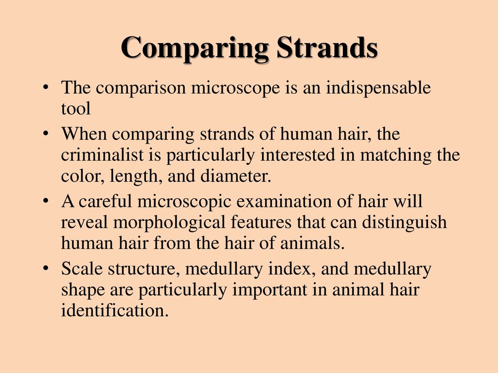 a human hair can be distinguished from an animal hair by examining