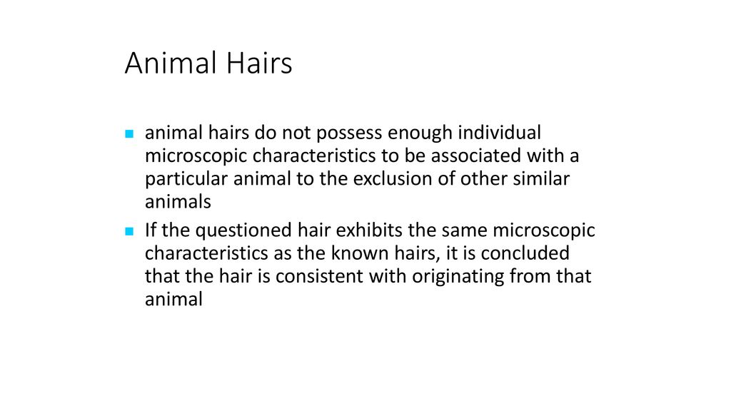 Animal Hairs