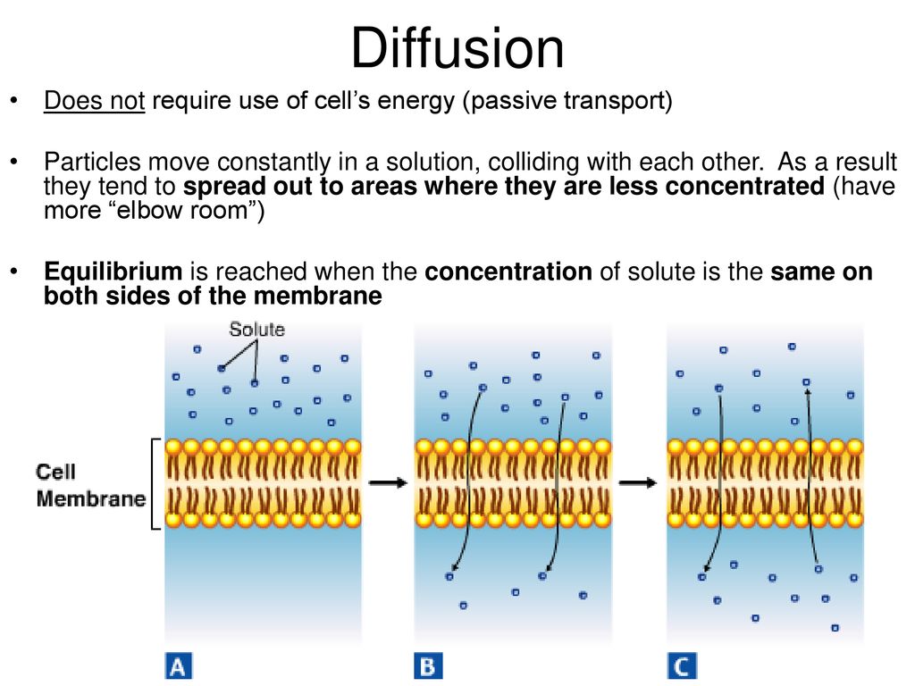 Diffusion Does not require use of cell’s energy (passive transport)