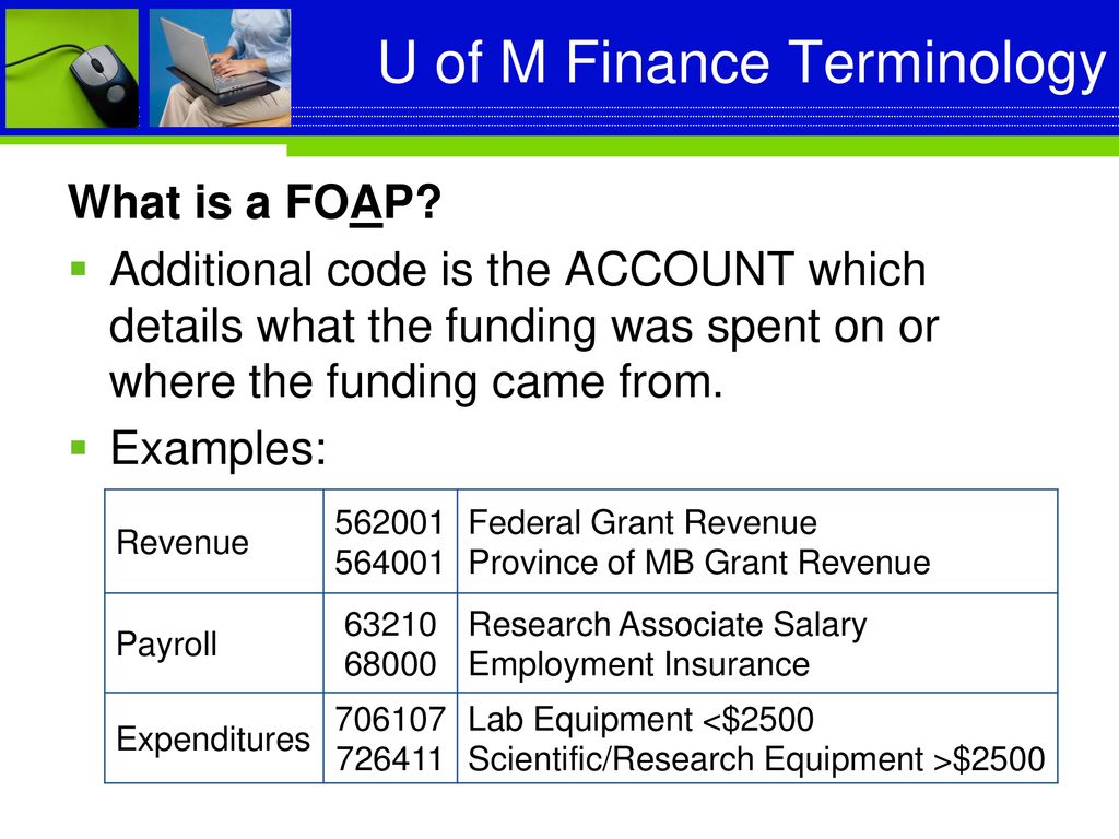 U of M Finance Terminology