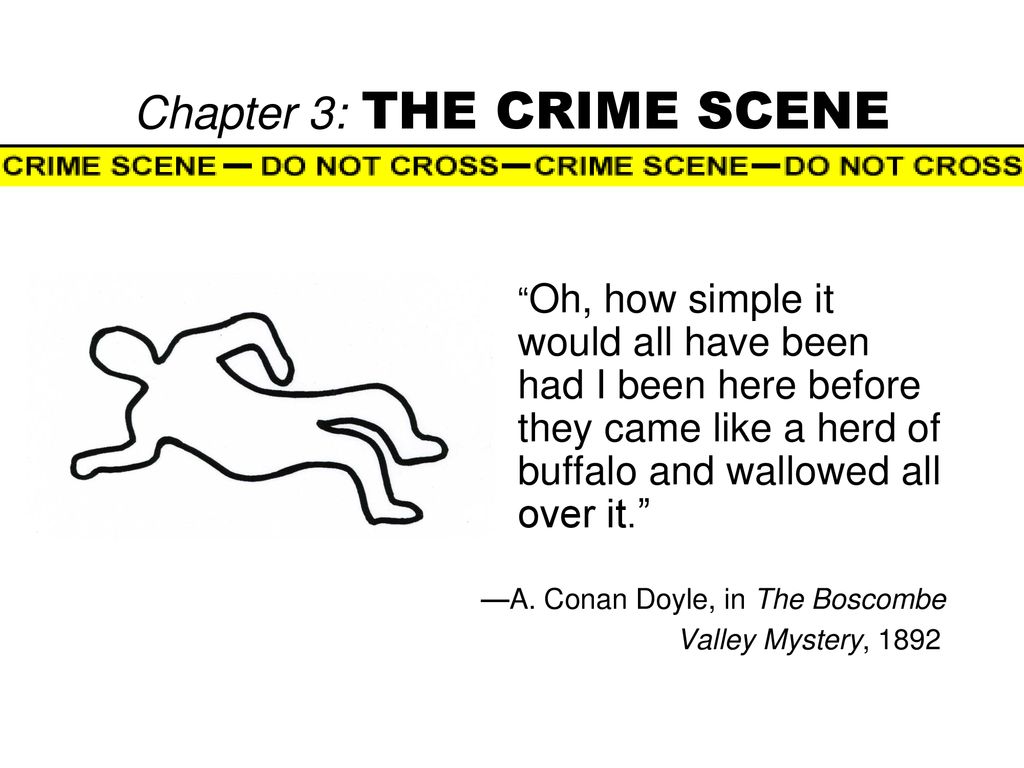 Chapter 3 The Crime Scene Ppt Download