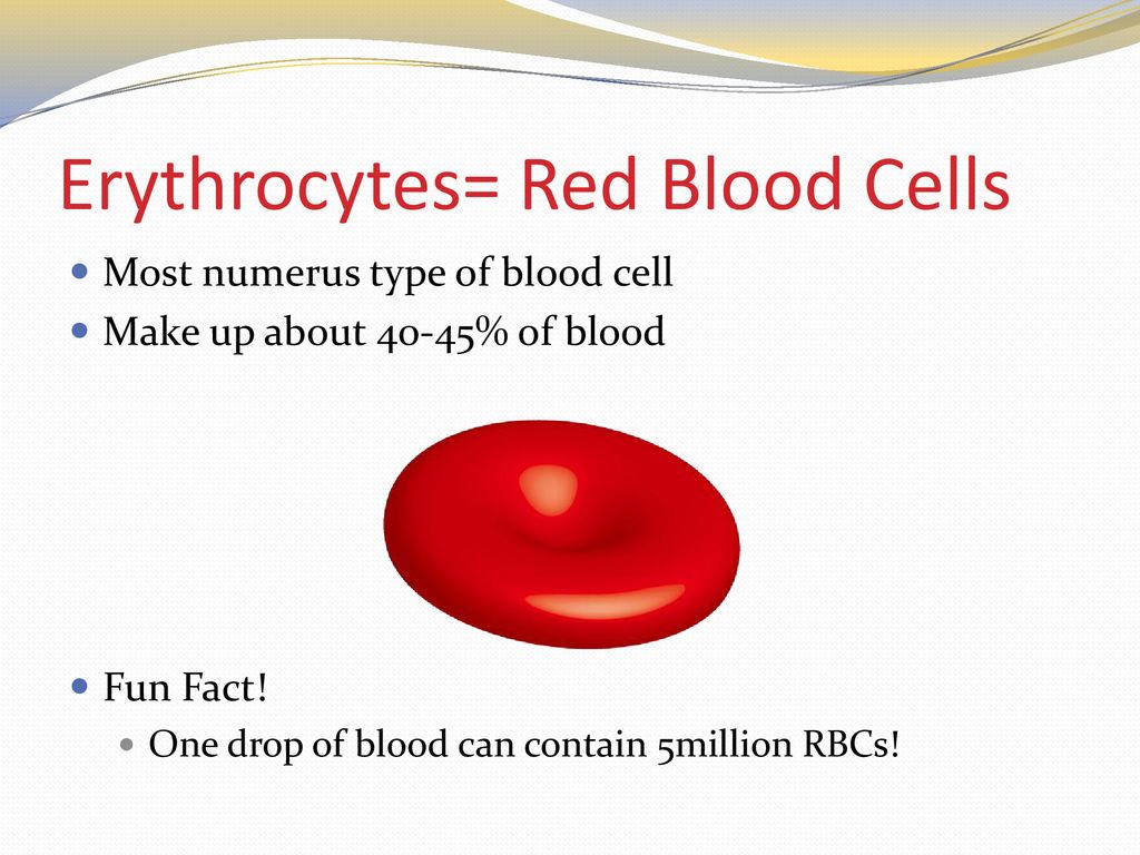 https://slideplayer.com/slide/14416341/90/images/10/Erythrocytes%3D+Red+Blood+Cells.jpg
