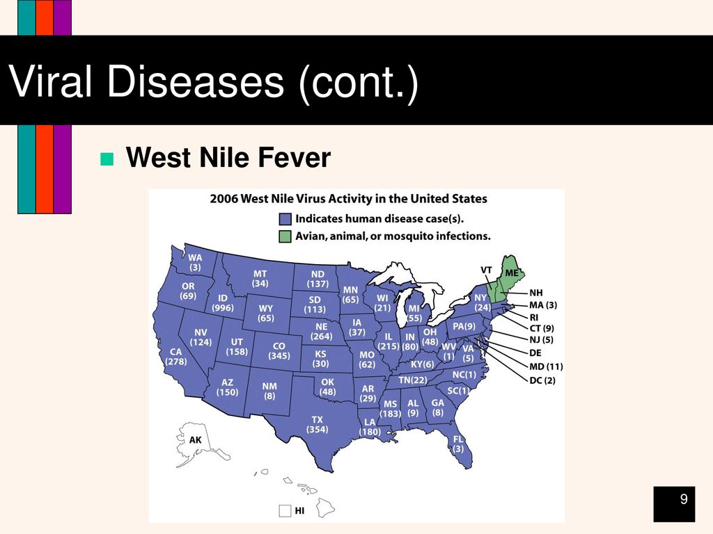 Viral Diseases (cont.) West Nile Fever