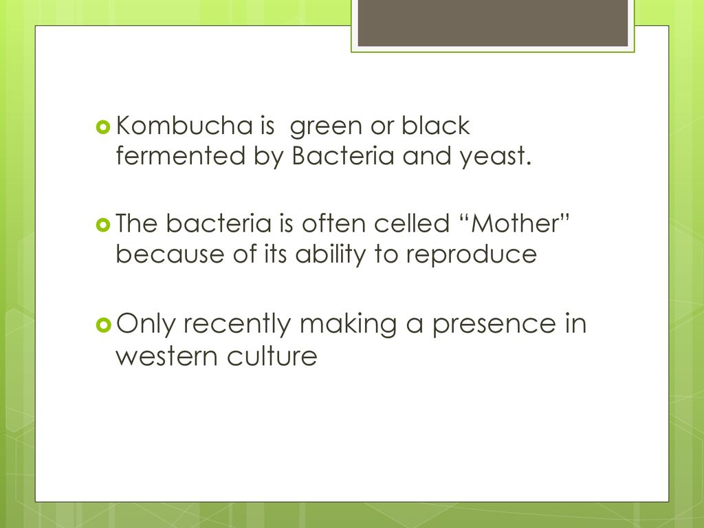 Kombucha The “mother” tea. - ppt download