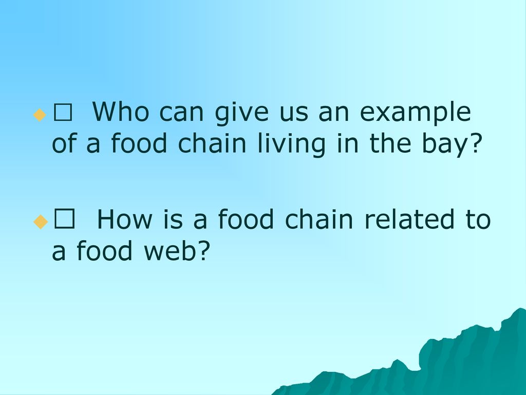 What is a bay?. Biology Diagrams