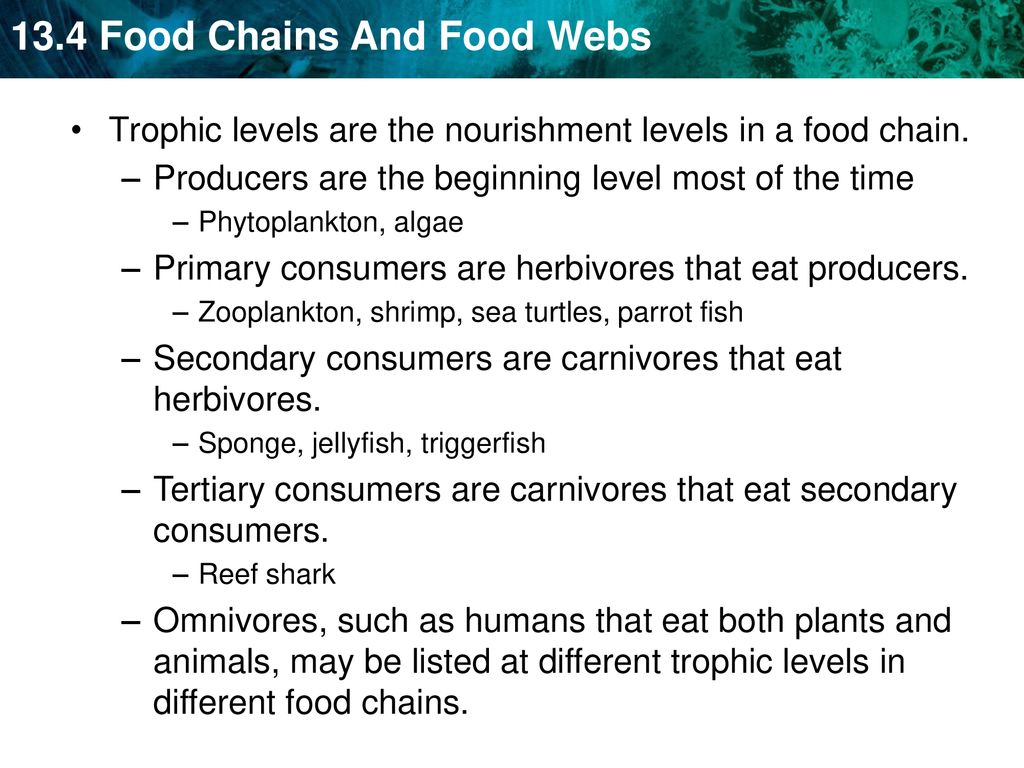 A food chain links species by their feeding relationships. Biology Diagrams
