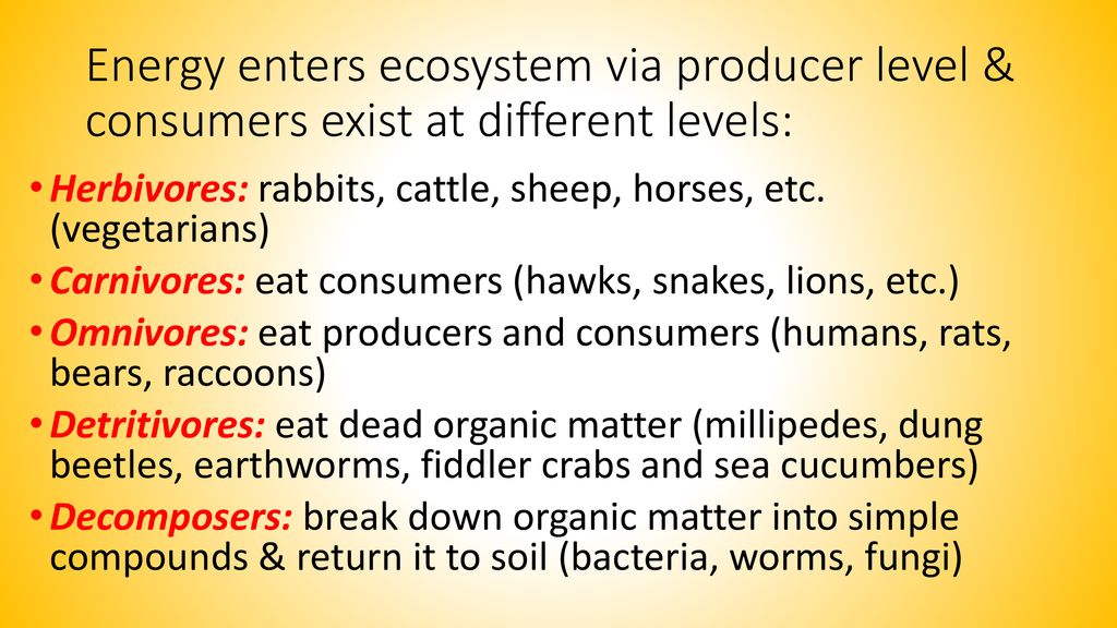 Ecology Unit: Biology Chapter 13.2 – ppt download