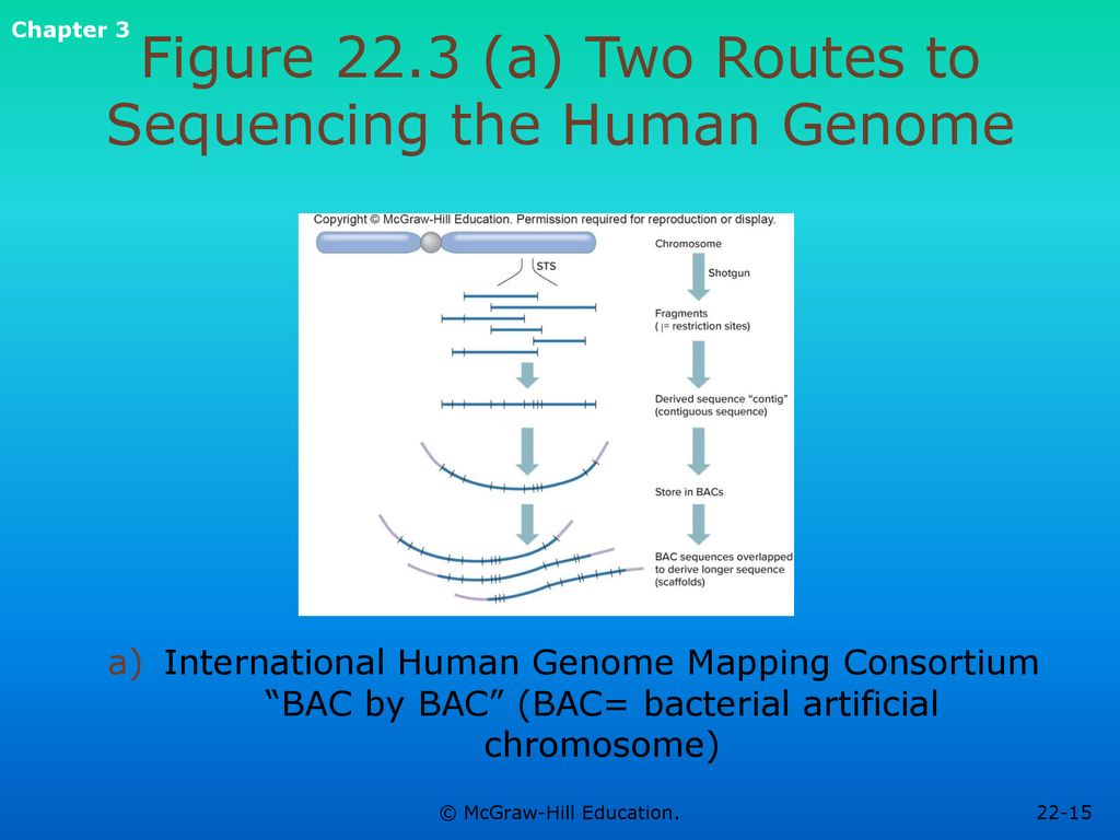 Human genetics concepts and applications ppt download