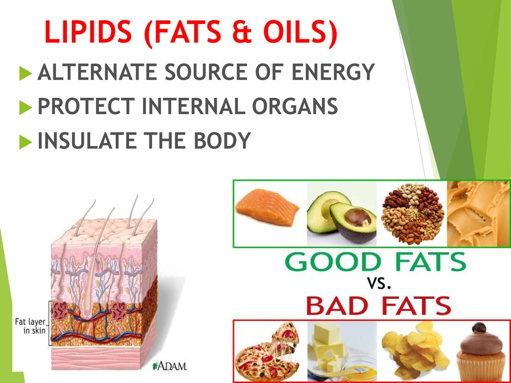 Cells require a constant source of energy for life processes, but keep ...