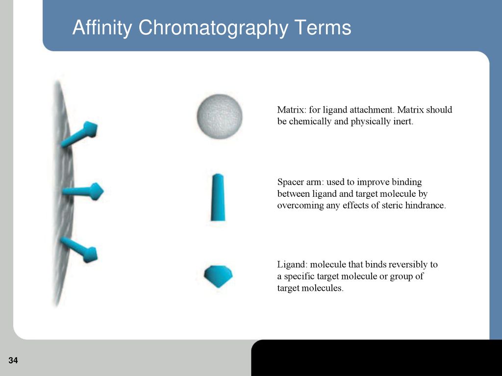 https://slideplayer.com/slide/14426517/90/images/34/Affinity+Chromatography+Terms.jpg
