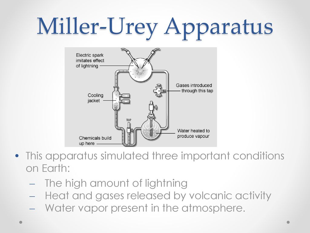 Introduction to Biology - ppt download