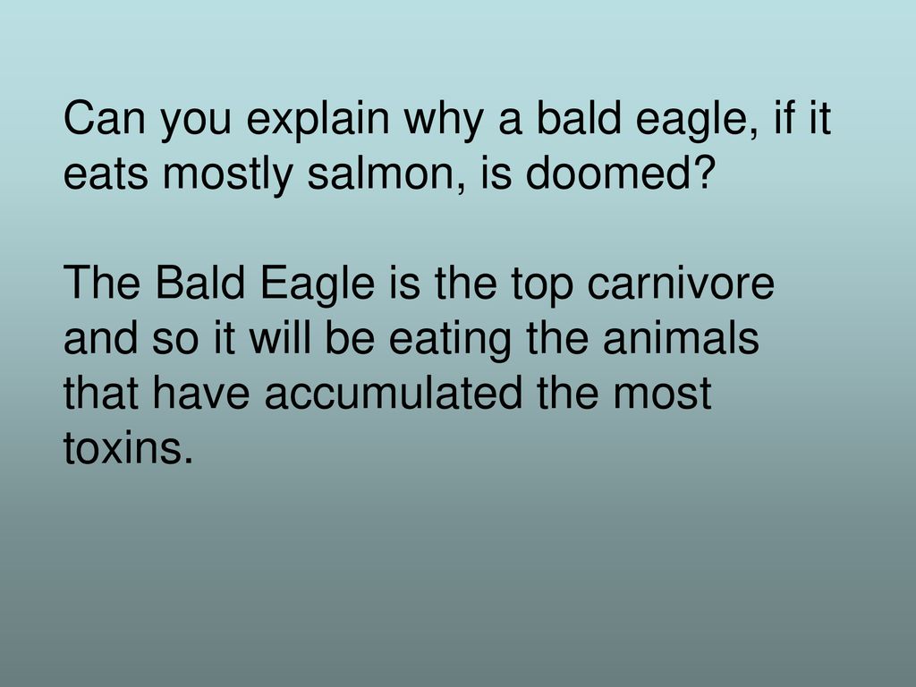 Bioaccumulation or Biomagnification in Food Chains Biology Diagrams