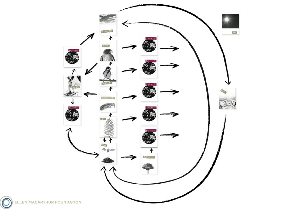 exploring-the-circular-economy-world-largest-lesson-2-ppt-download