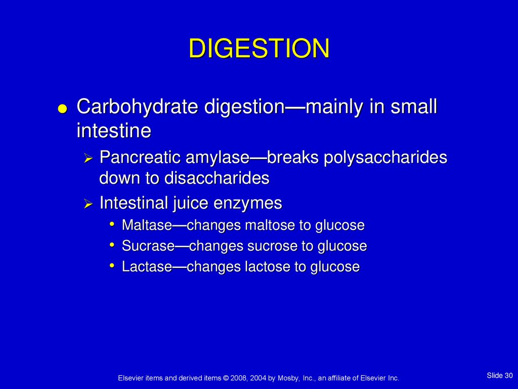 DIGESTION Carbohydrate digestion—mainly in small intestine