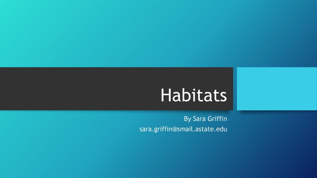 By Sara Griffin Habitats By Sara Griffin - ppt download