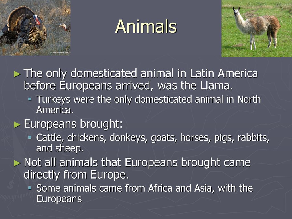 AP World History Period - ppt download AP World History Period - ppt download