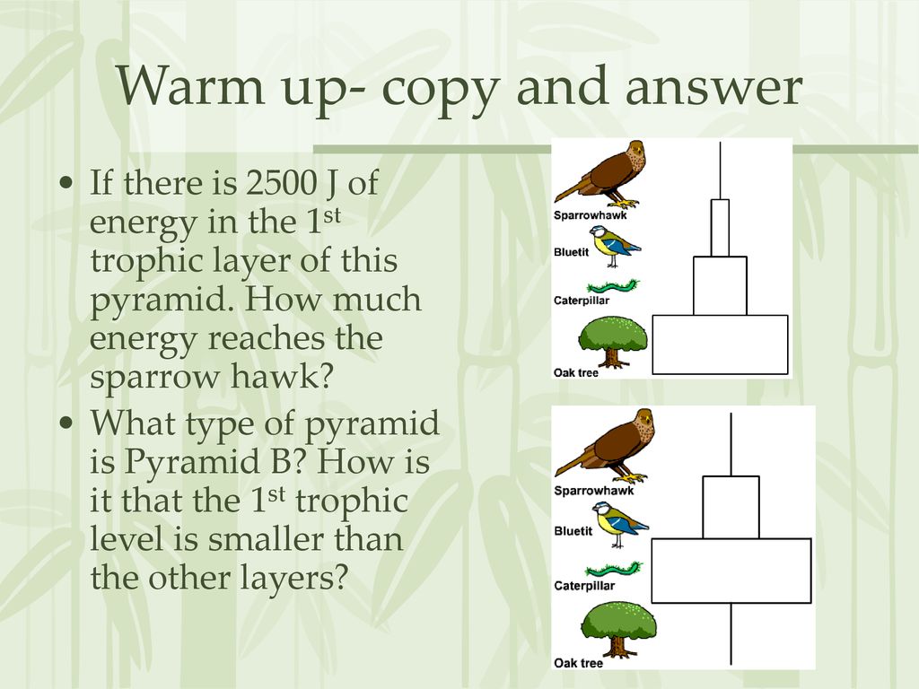 Warm up- copy and answer - ppt download
