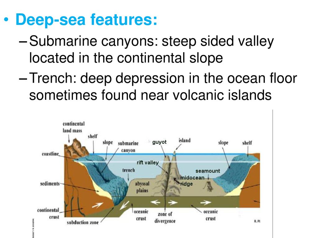 The Ocean Floor And The Coast Ppt Download