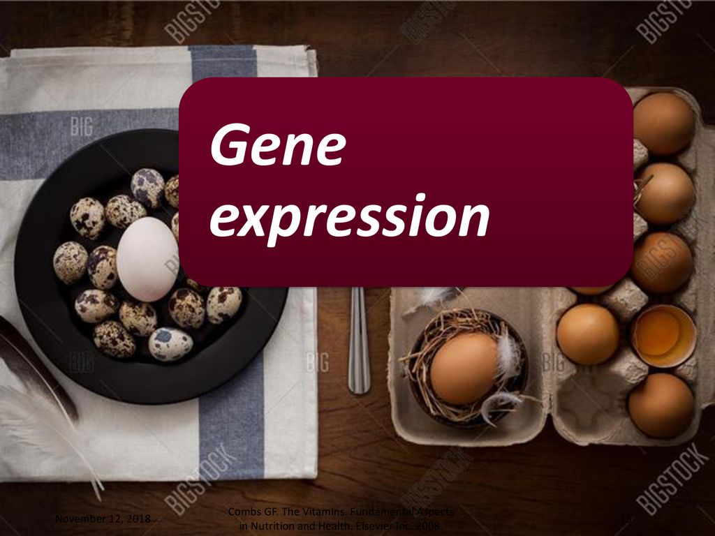 Gene expression November 12, Combs GF. The Vitamins.