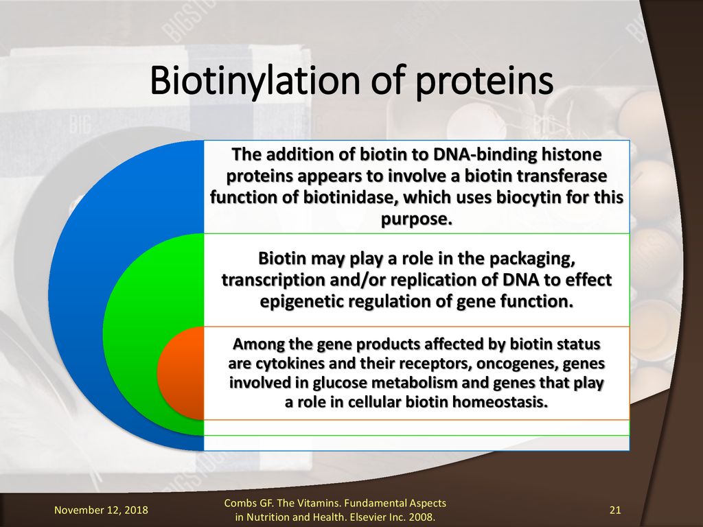 Biotinylation of proteins