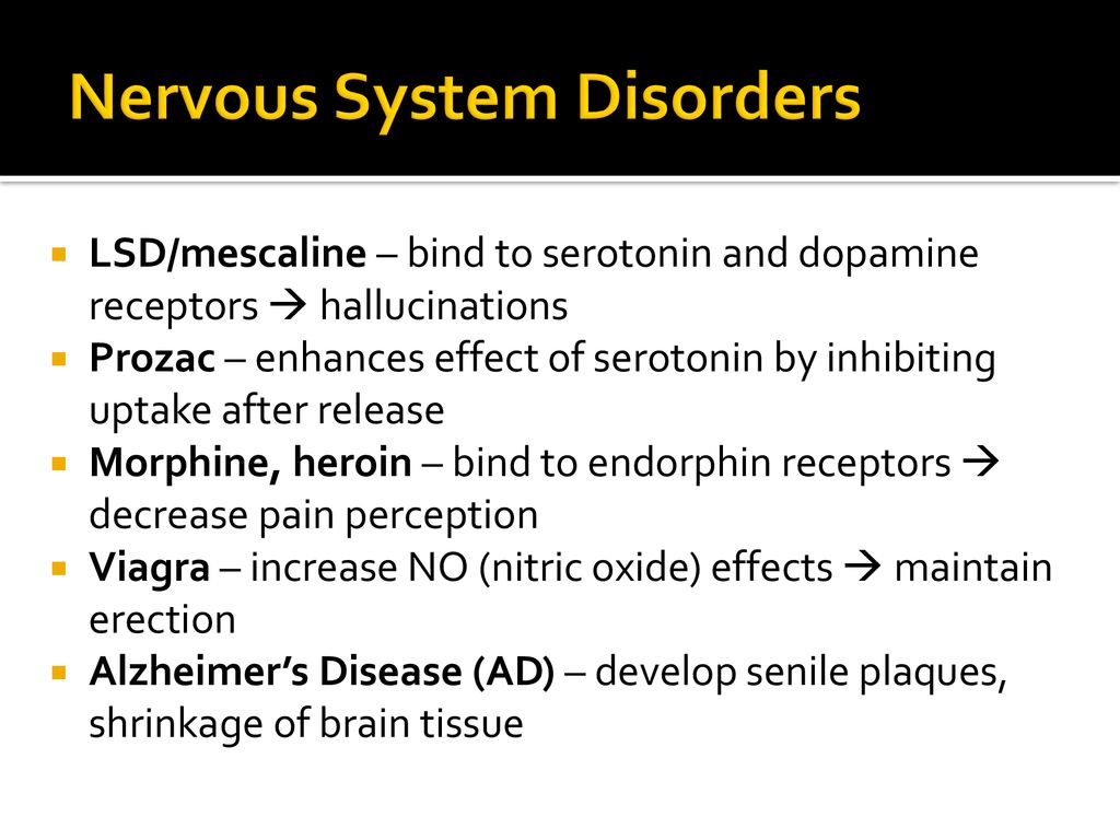 Warm-Up Look up the definitions of the Central Nervous System vs. the ...