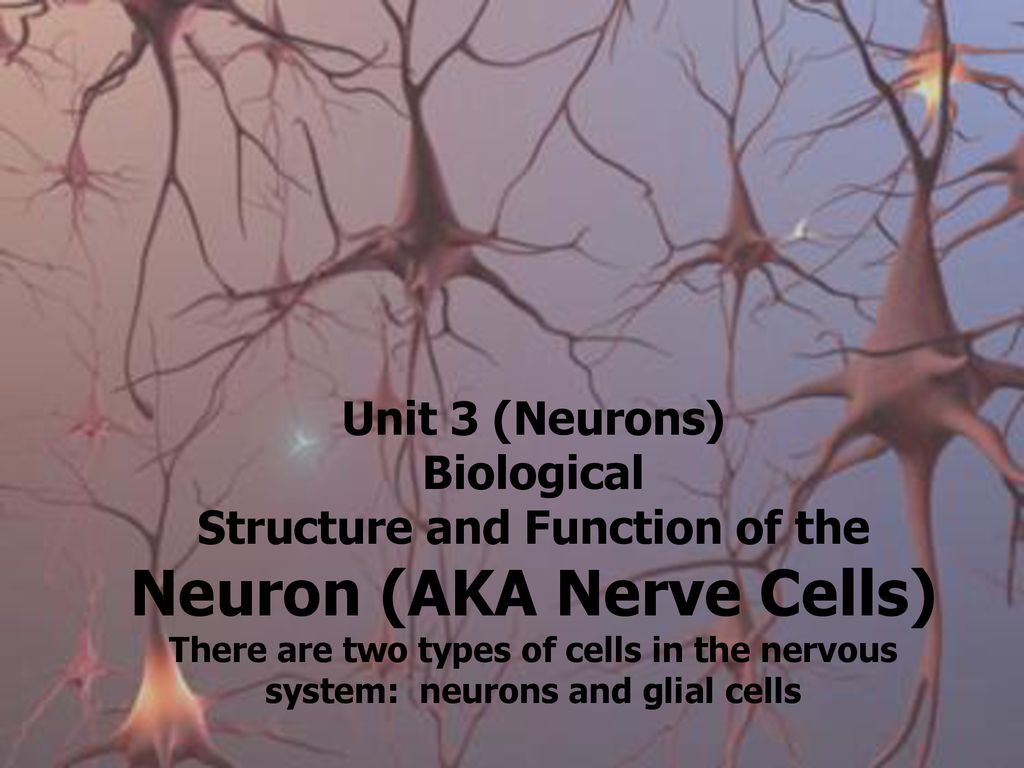 Умершие клетки мозга. Клетки мозга. Нервная клетка. Клетки мозга под микроскопом. Нейроны головного мозга.