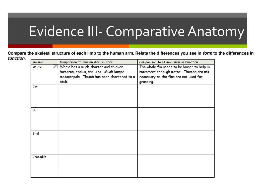 Evidences for Evolution - ppt download