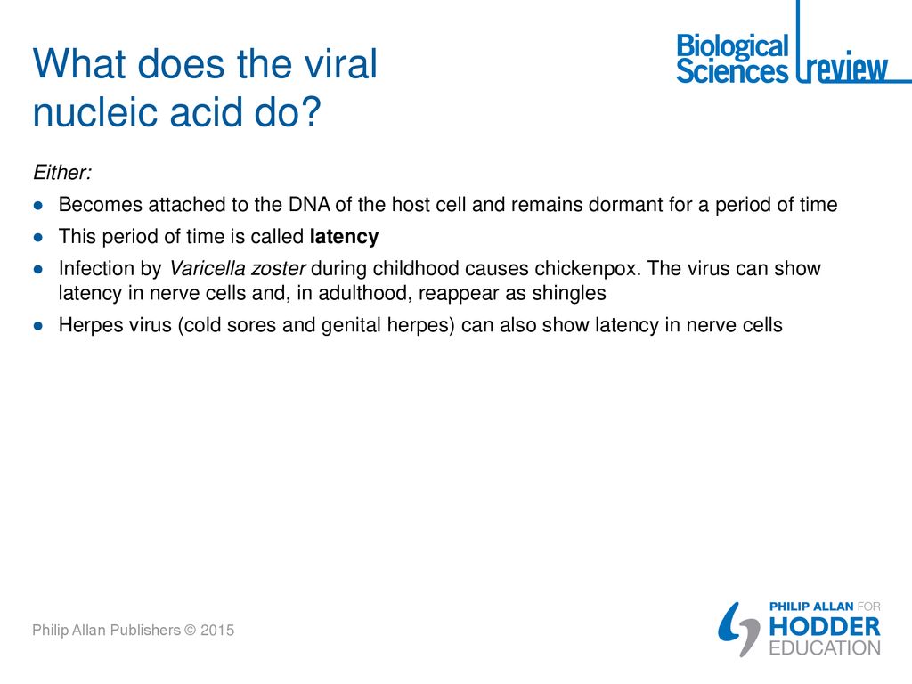 What does the viral nucleic acid do