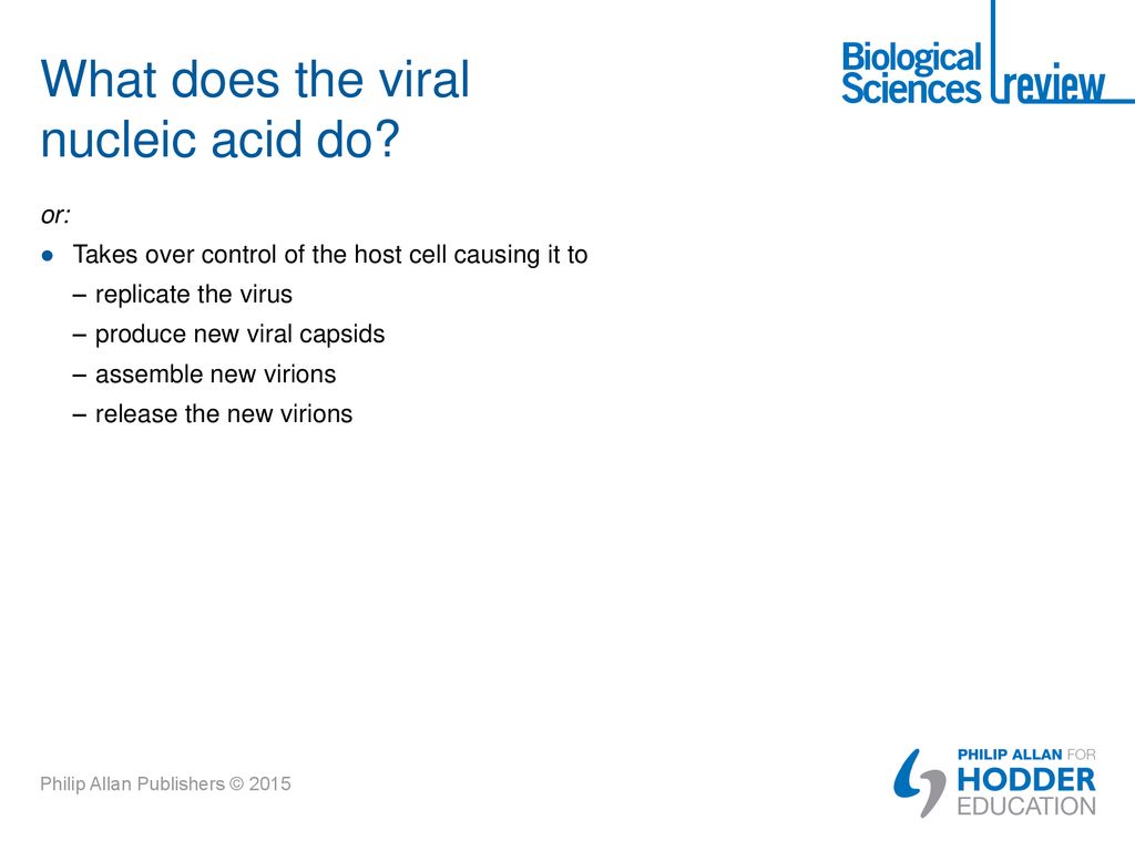 What does the viral nucleic acid do