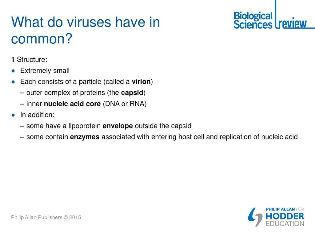 What do viruses have in common
