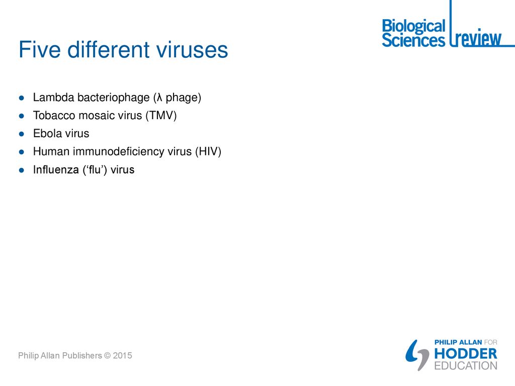 Five different viruses