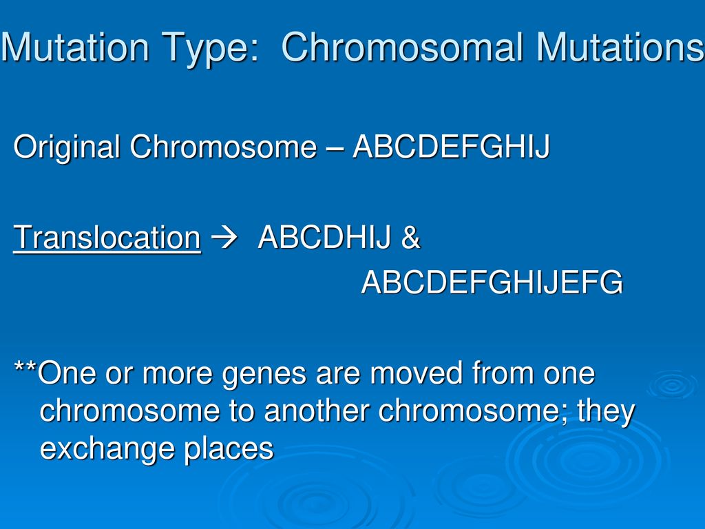 Mutation Type: Chromosomal Mutations