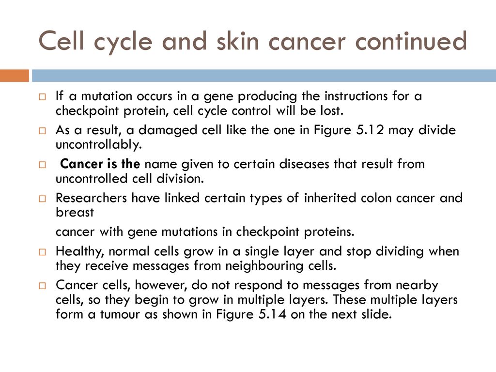 Cell cycle and Mutation Biology Diagrams