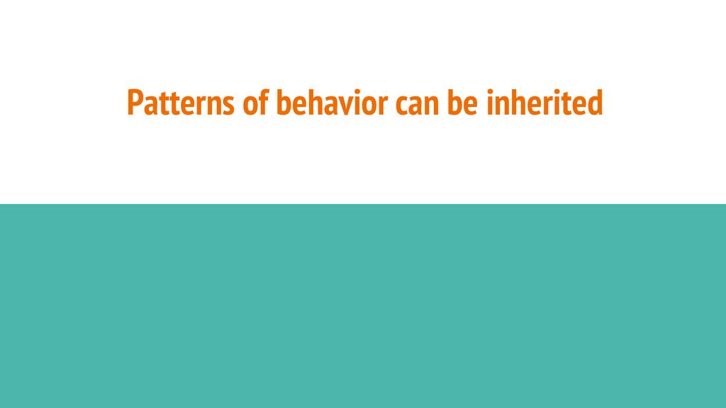 Introduction To The Biological Level Of Analysis BLOA Ppt Download introduction-to-the-biological-level-of-analysis-bloa-ppt-download