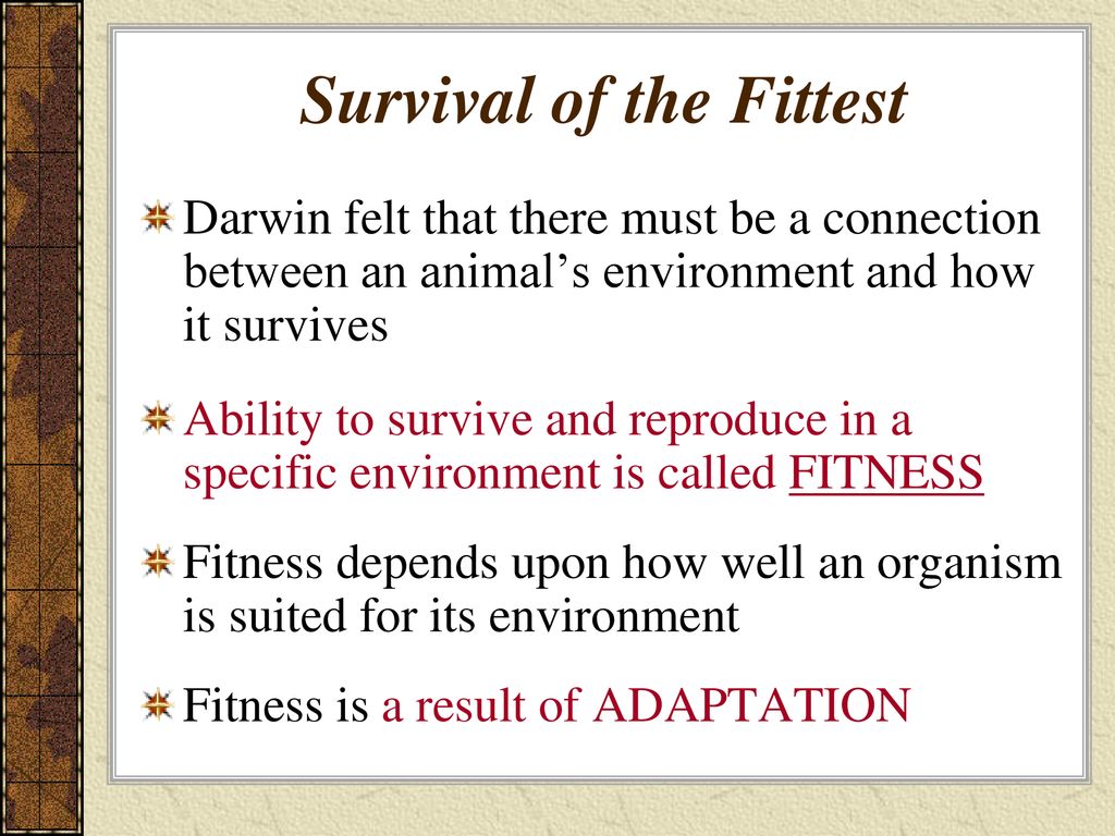 Survival of the Fittest, Overview, Quotes & Examples - Video & Lesson  Transcript