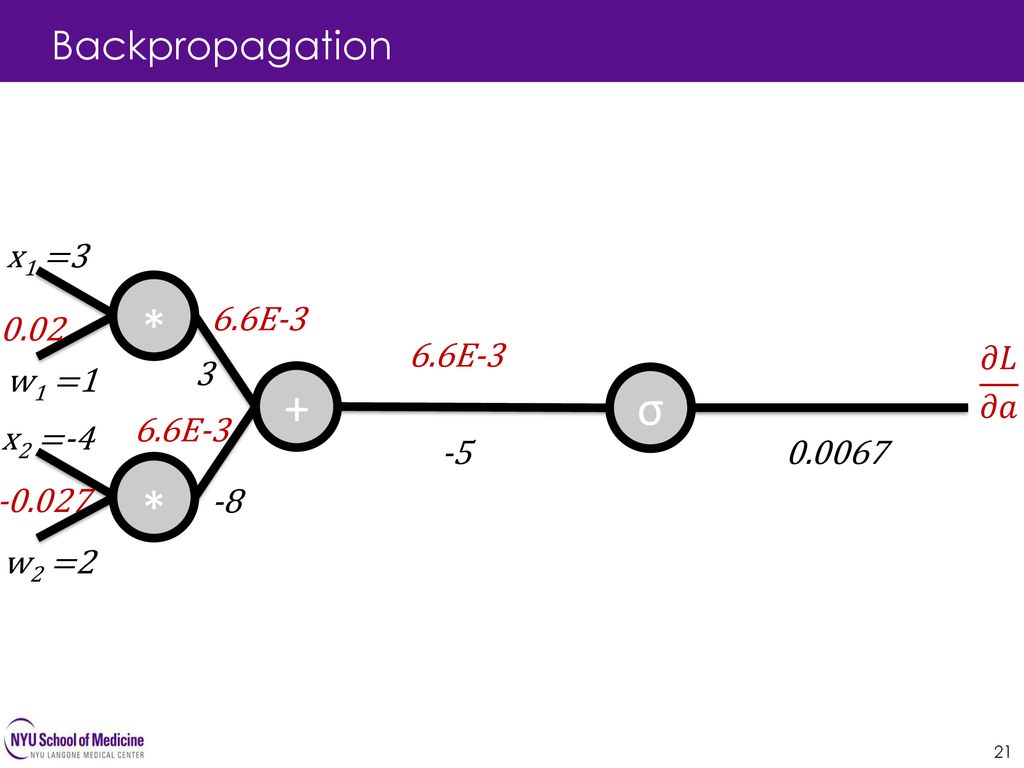 Machine Learning Neural Networks David Fenyo Ppt Download
