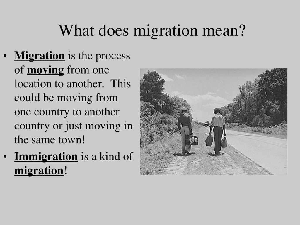 What Does Migration Mean Ppt Download what-does-migration-mean-ppt-download