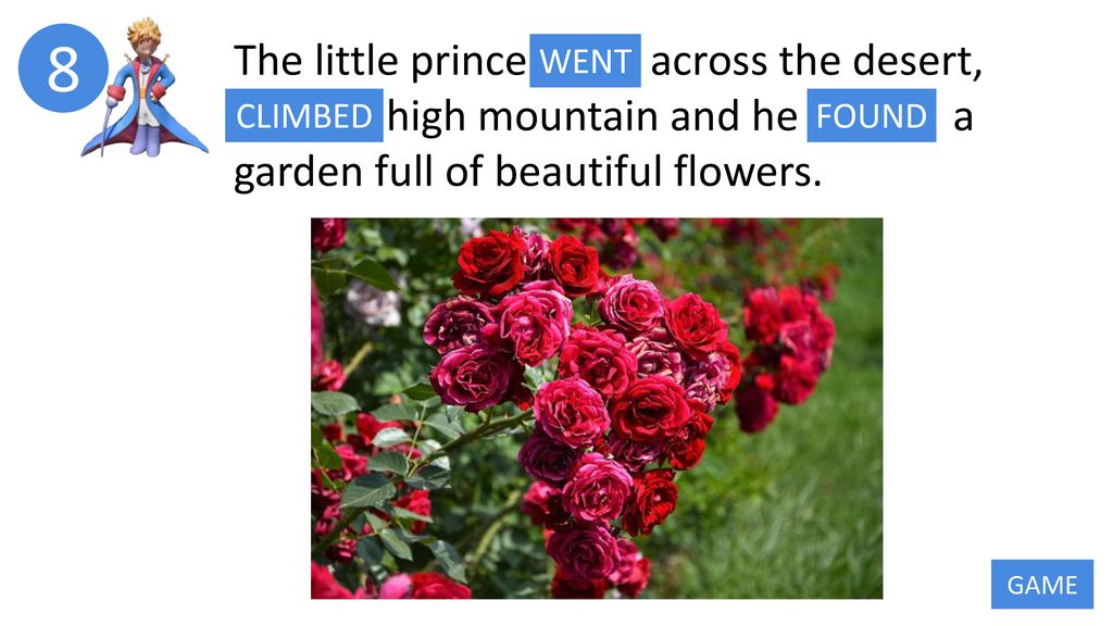 8 The little prince GO across the desert, CLIMB high mountain and he FIND a garden full of beautiful flowers.